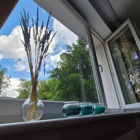 Let Me Sea Forest Apartment *