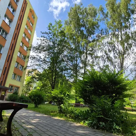 Let Me Sea Forest Apartment *